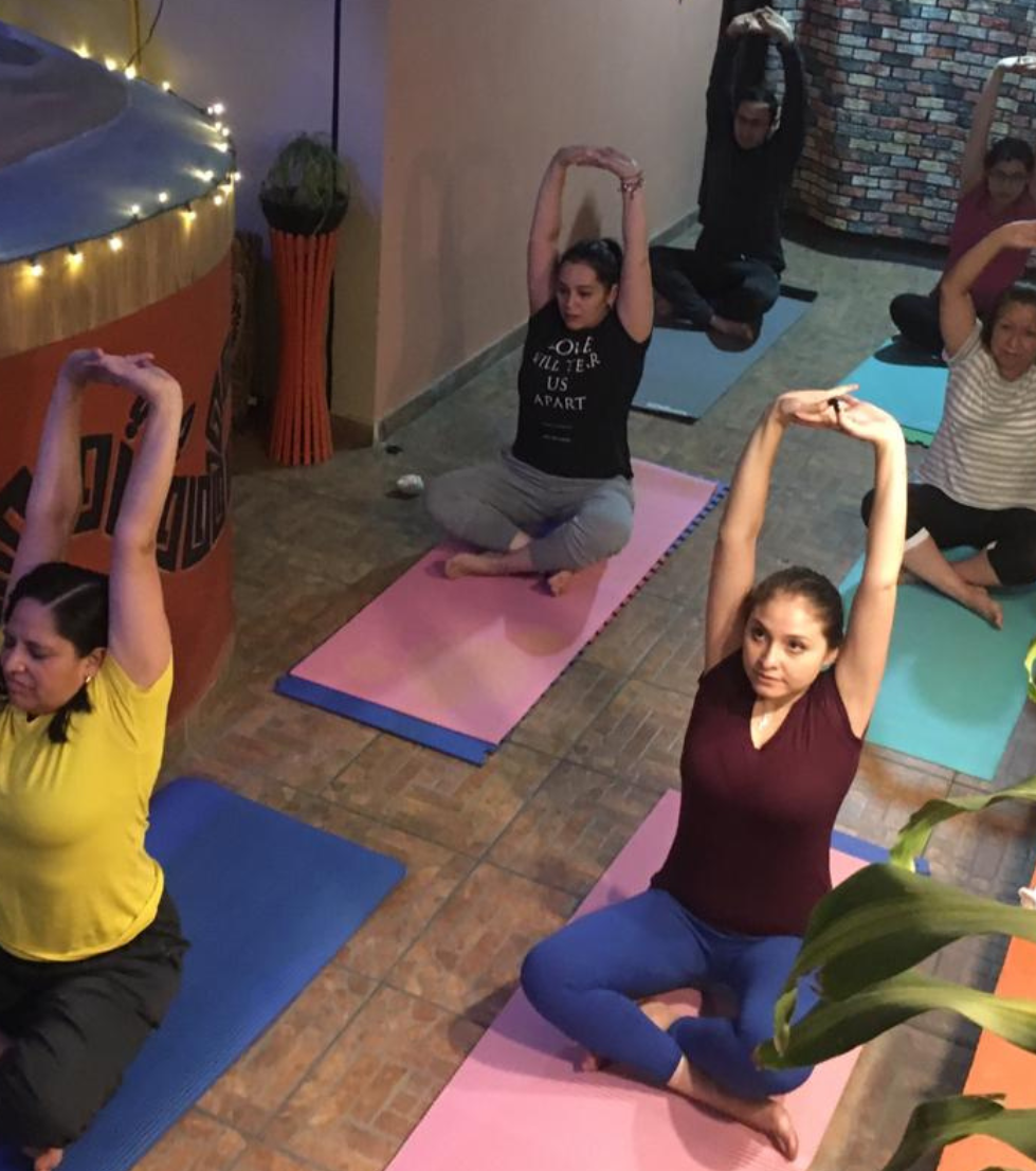 Sesiones de Hatha Yoga y bienestar integral en Ciudad de México
